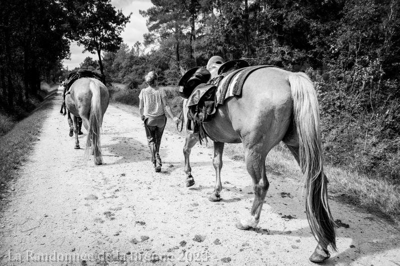 Randonnée de Printemps en Brenne