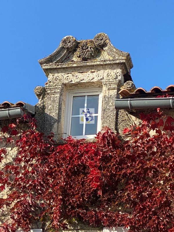 Hôtel particulier - 330 m² - 10 pièces