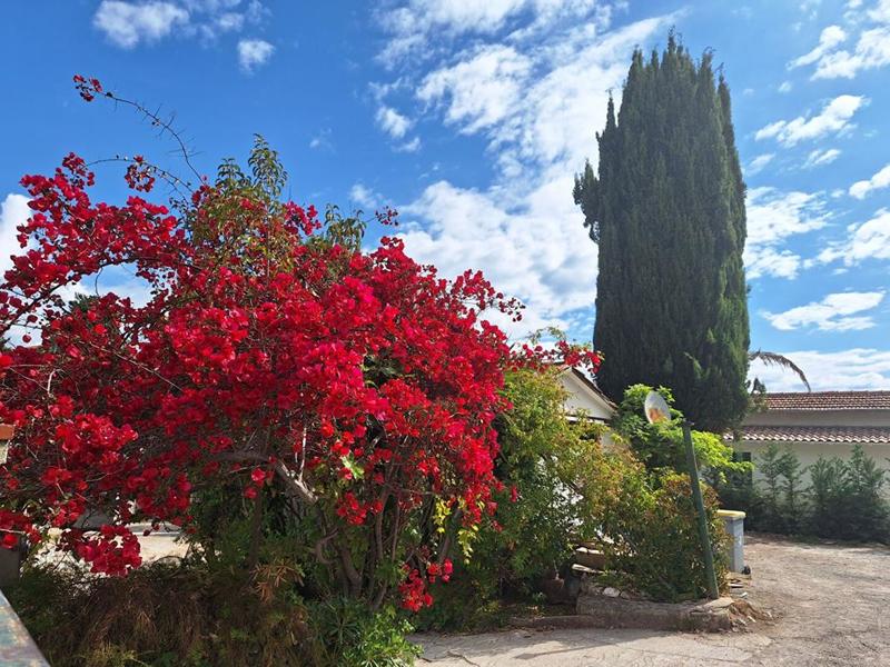 Maison de ville - 137 m² - 8 pièces