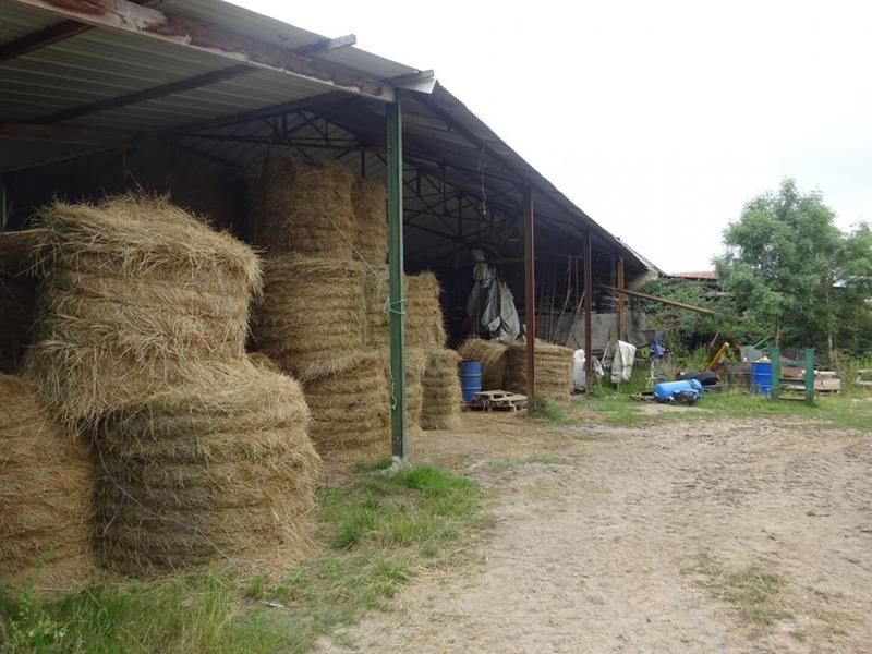 Propriété - 110 m² - 7 pièces