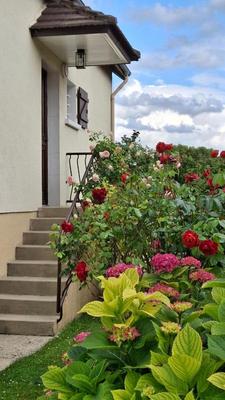 Maison - 97 m² - 5 pièces