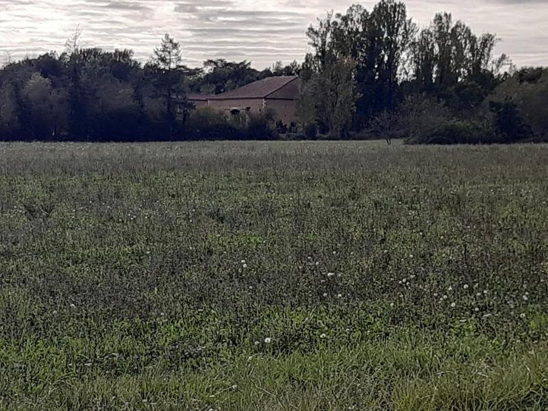 Corps de ferme - 205 m² - 6 pièces