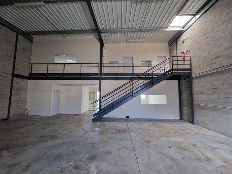 Bureau - 250 m² - 4 pièces