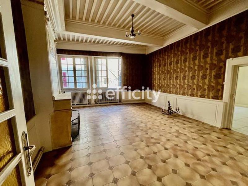 Immeuble - 350 m² - 15 pièces