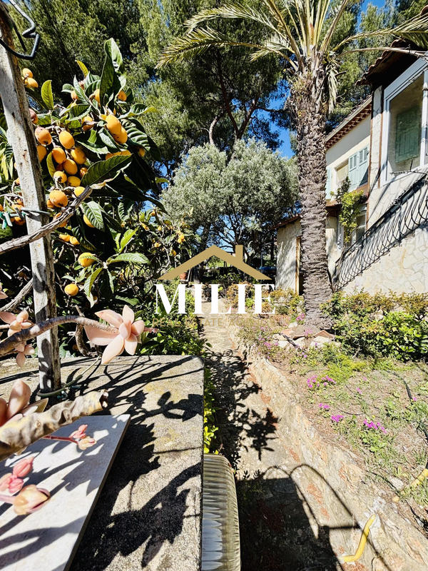 Maison ancienne - 260 m² - 11 pièces