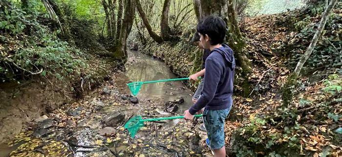 Animation nature en famille : Panique au ruisseau