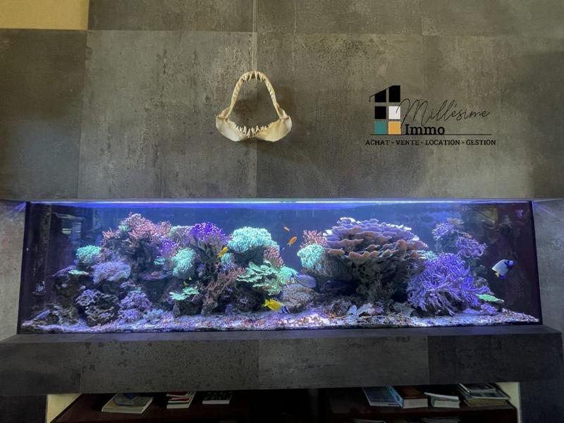 Maison ancienne - 265 m² - 8 pièces