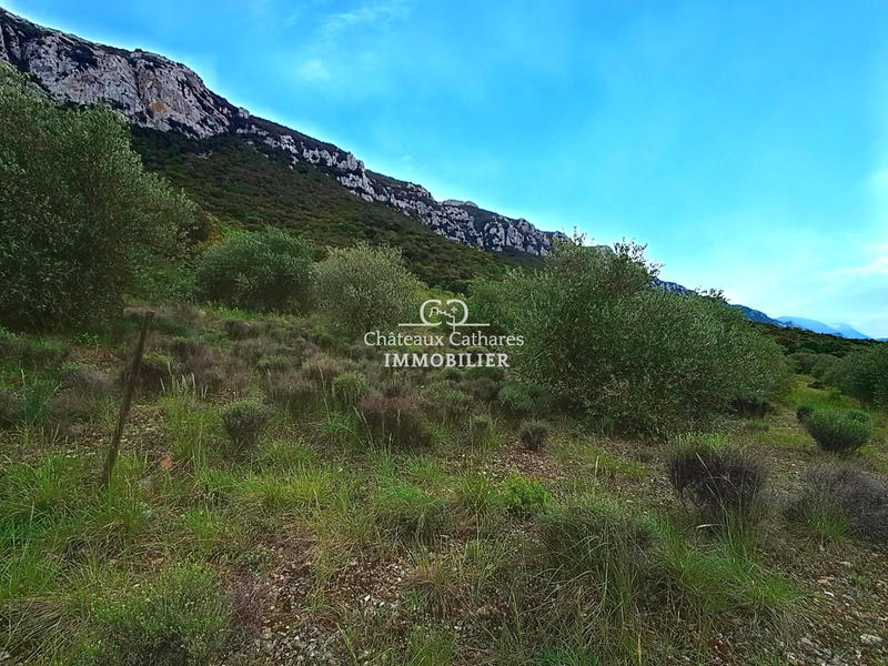 Terrain agricole - 51 314 m²