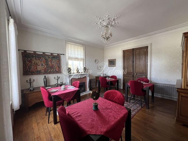 Château - 1 000 m² - 32 pièces