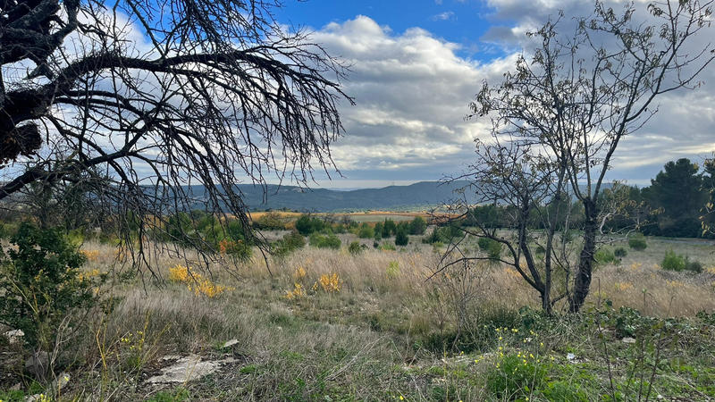 Propriété - 146 m² - 3 pièces