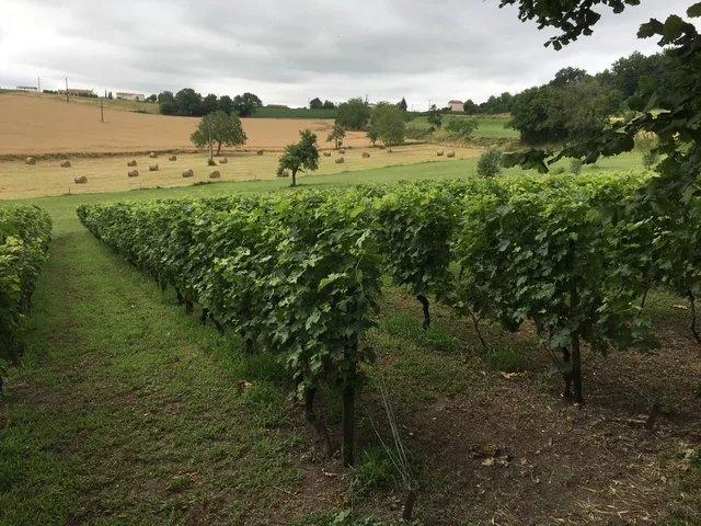 Propriété - 142 m² - 6 pièces