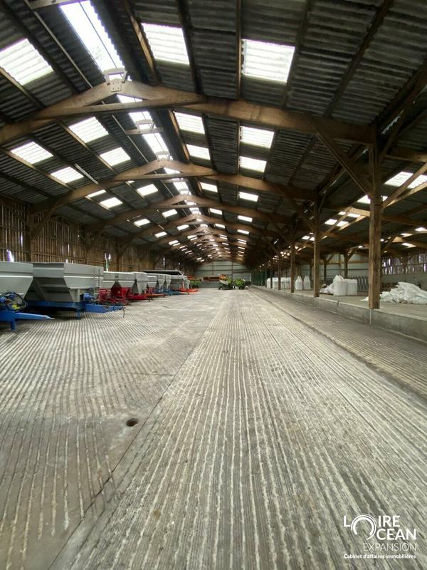 Entrepôt - 3 600 m²