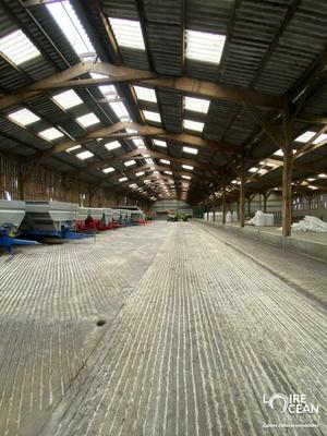 Entrepôt - 3 600 m²