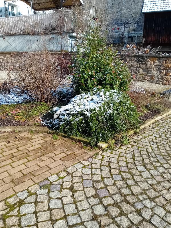 Maison de village - 169 m² - 6 pièces