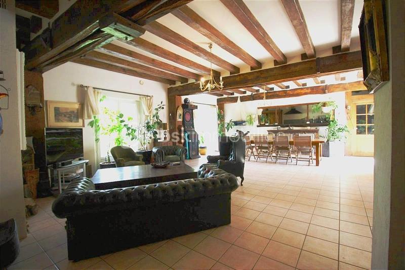 Maison en pierre - 529 m² - 9 pièces