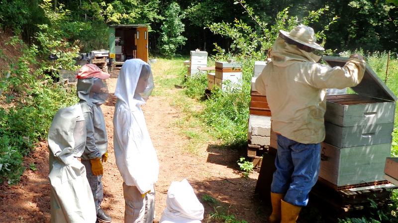 Visite du Rucher du Rollenberg