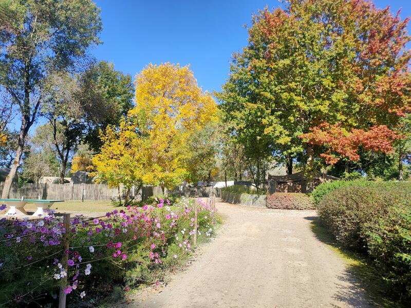 Vide grenier des rives de grand lieu