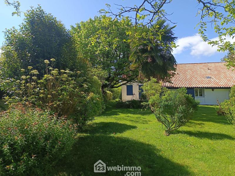 Maison - 215 m² - 7 pièces