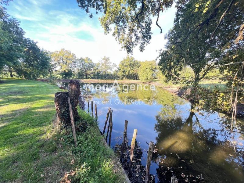 Terrain de loisirs - 9 232 m²