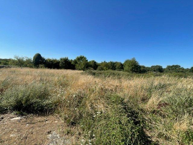 Ferme - 1 800 m² - 4 pièces