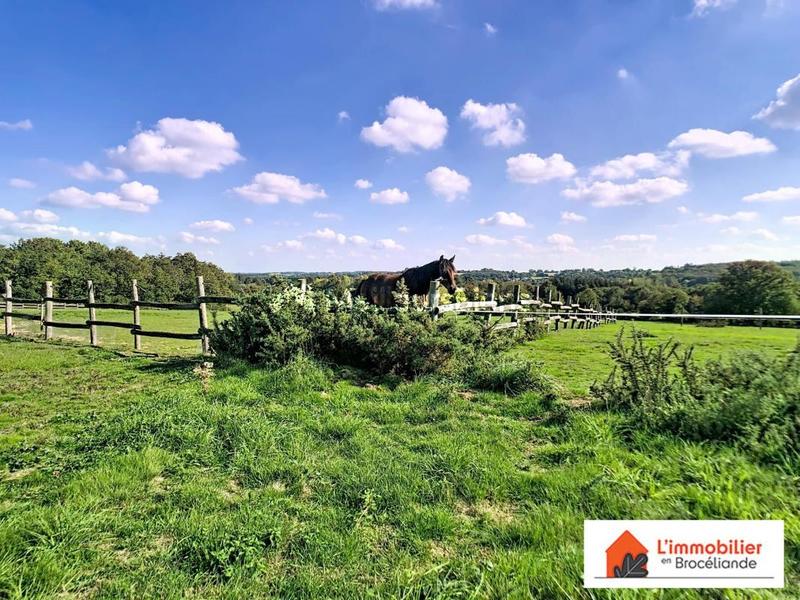 Propriété - 324 m² - 9 pièces