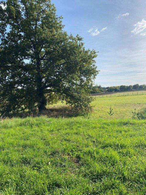 Propriété - 350 m² - 13 pièces