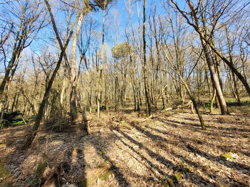 Maison ancienne - 163 m² - 6 pièces