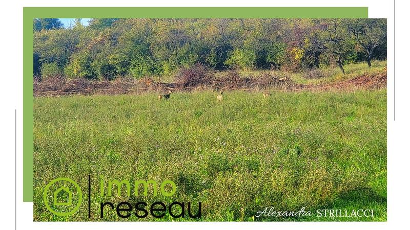 Maison - 119 m² - 5 pièces