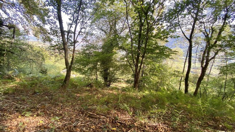 Maison - 71 m² - 1 pièce