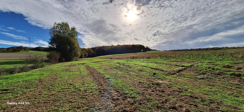 Maison - 460 m² - 2 pièces