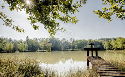 Propriété - 262 m² - 10 pièces