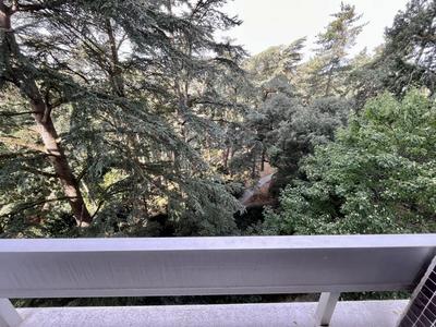 Appartement - 31 m² - 1 pièce