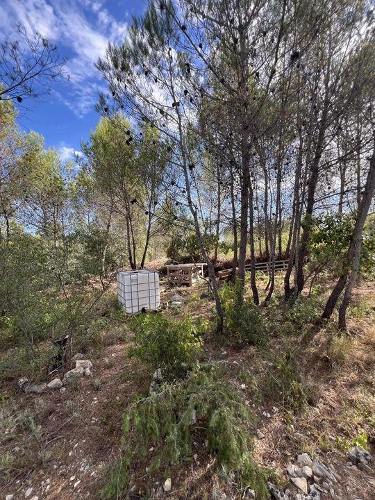 Terrain de loisirs - 2 006 m²