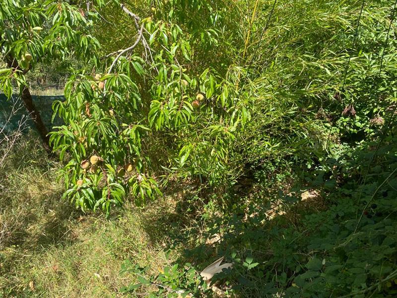 Maison - 52 m² - 3 pièces