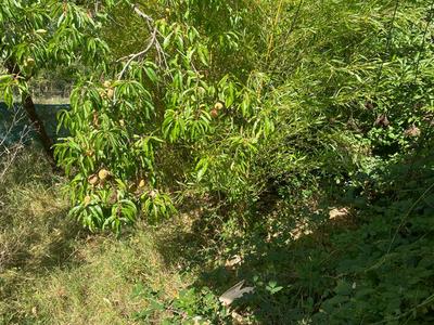 Maison - 52 m² - 3 pièces