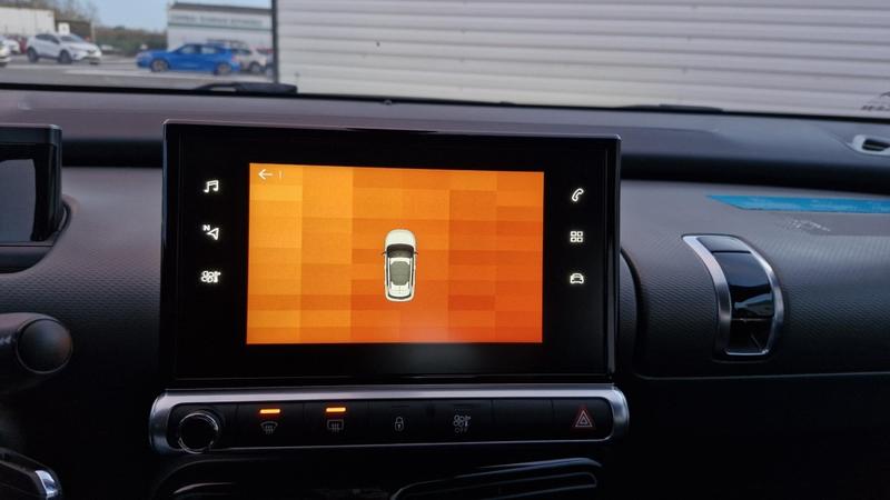 Citroën C4 Cactus Business Puretech 110 Ss Bvm6 Feel