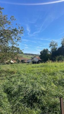 Terrain constructible - 446 m²