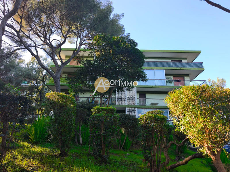 Appartement - 36 m² - 1 pièce