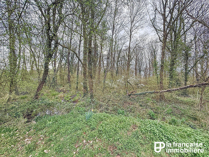 Terrain - 12 193 m²