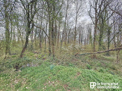 Terrain - 12 193 m²