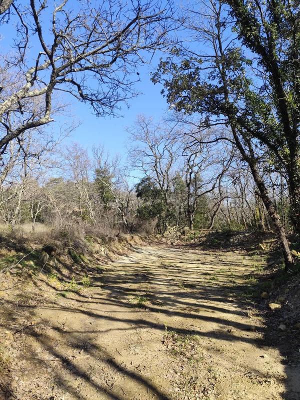 Terrain - 14 400 m²