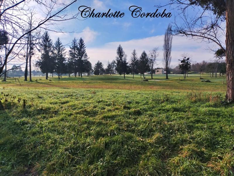 Appartement - 40 m² - 3 pièces