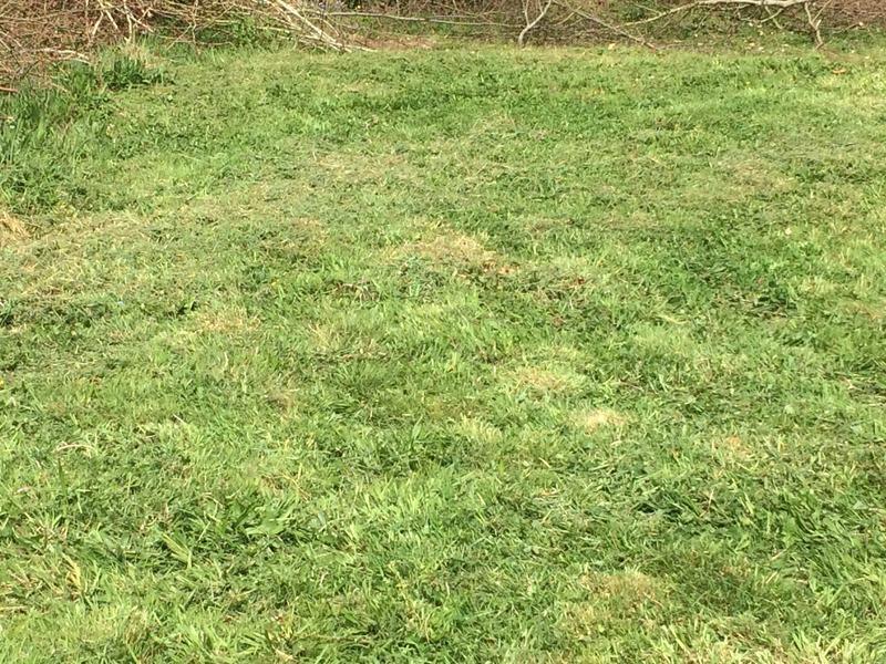 Terrain constructible - 604 m²