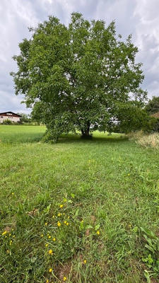 Terrain - 1 102 m²