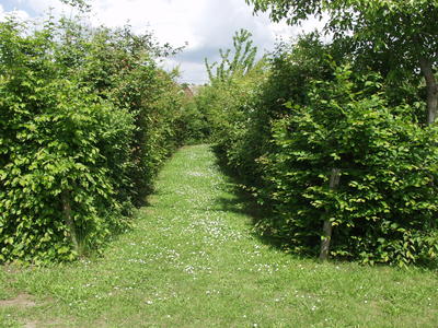 Entretenir ses plantations champêtres, c’est essentiel !