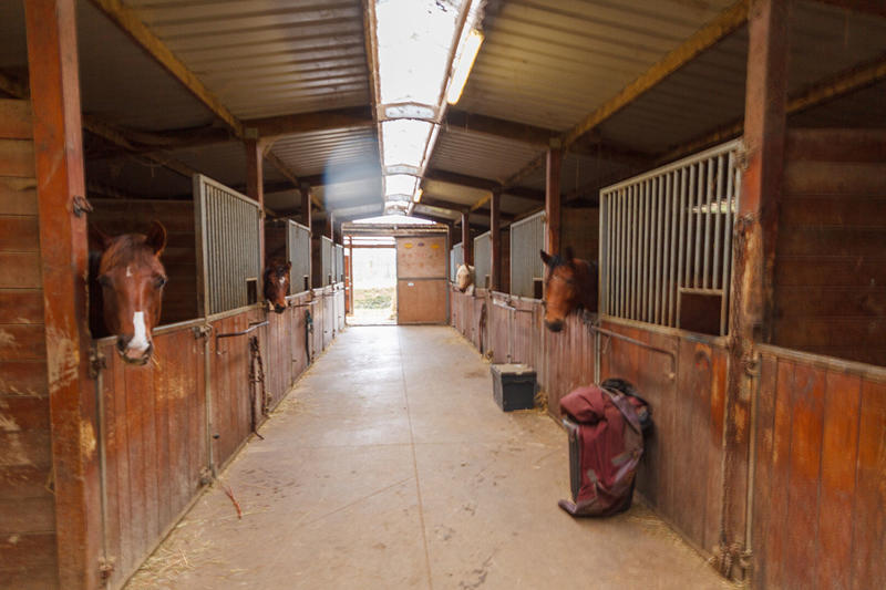 Maison de domaine équestre - 132 m² - 5 pièces