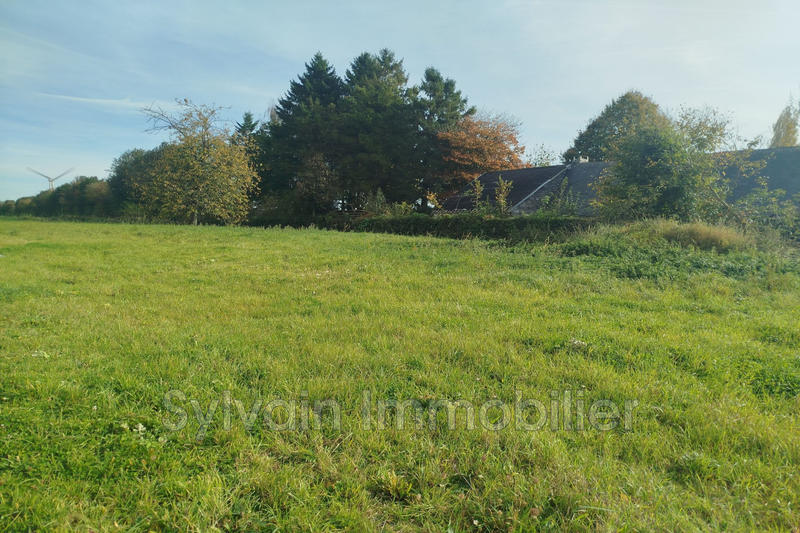 Maison - 187 m² - 7 pièces