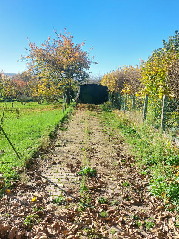 Maison - 144 m² - 5 pièces