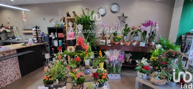 Local commercial - 146 m²