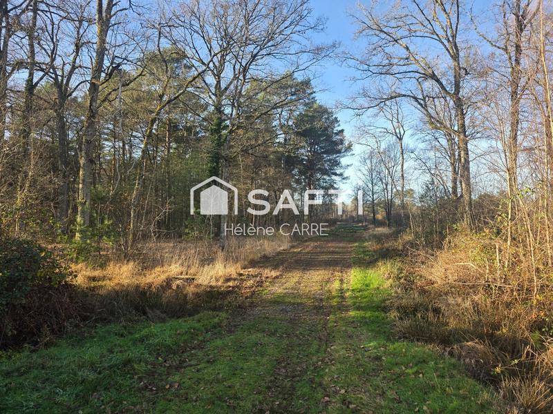 Maison - 237 m² - 11 pièces